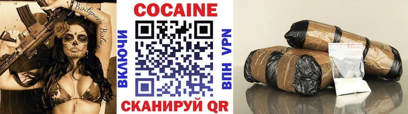 Купить закладки  Вельск  COCAIN Fish Scale 