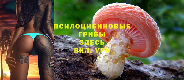 дурь Медвежьегорск