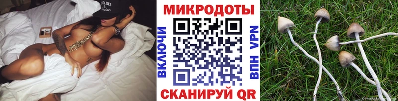 Галлюциногенные грибы ЛСД  Купить где  Вельск 