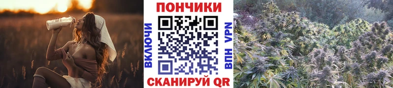 Купить закладки Вельск Каннабис индика